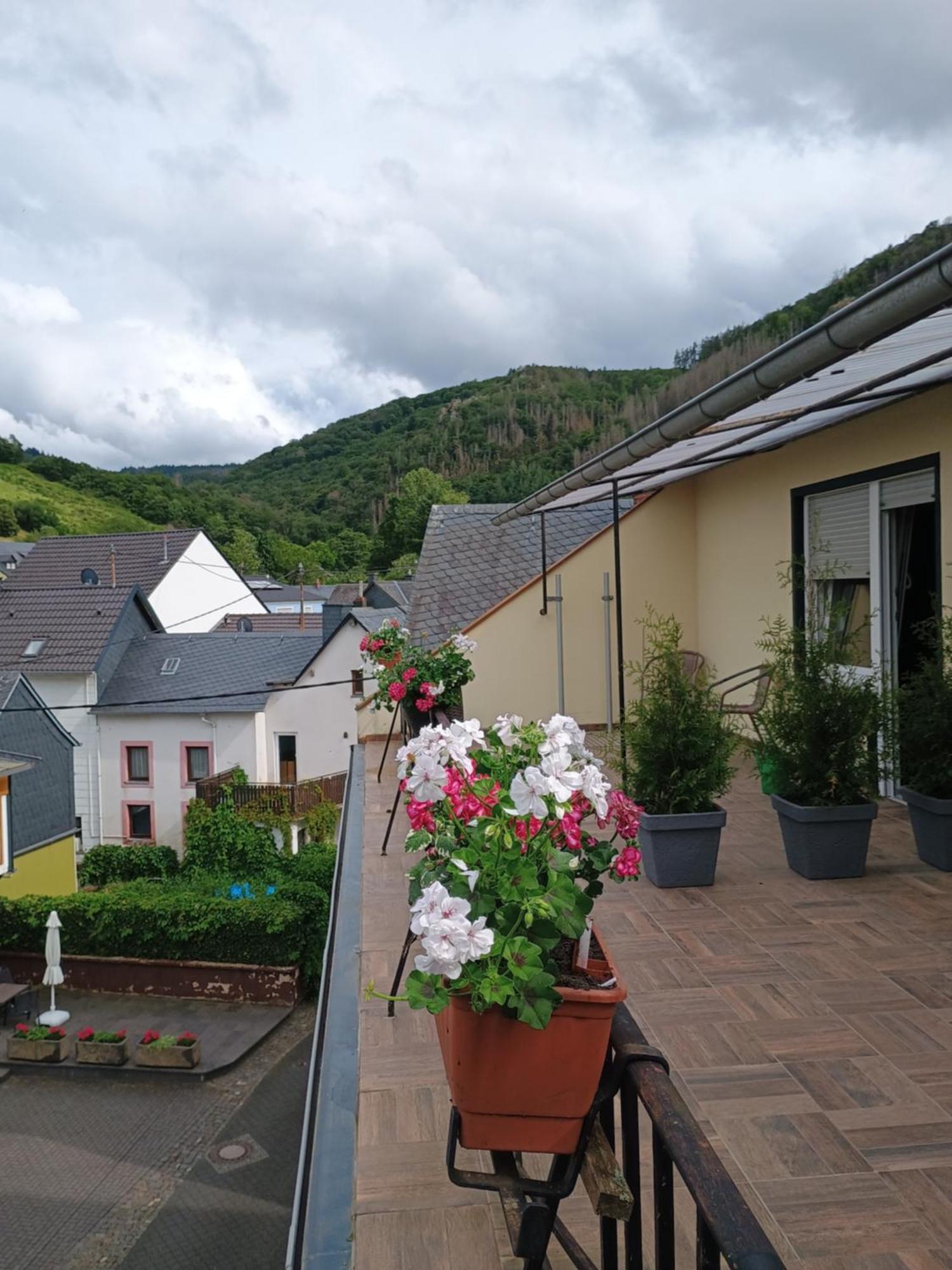 Gasthof Zur Grafschaft Veldenz 外观 照片