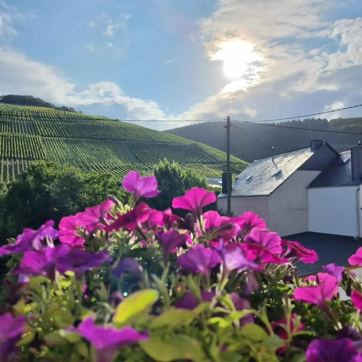 Gasthof Zur Grafschaft Veldenz 外观 照片